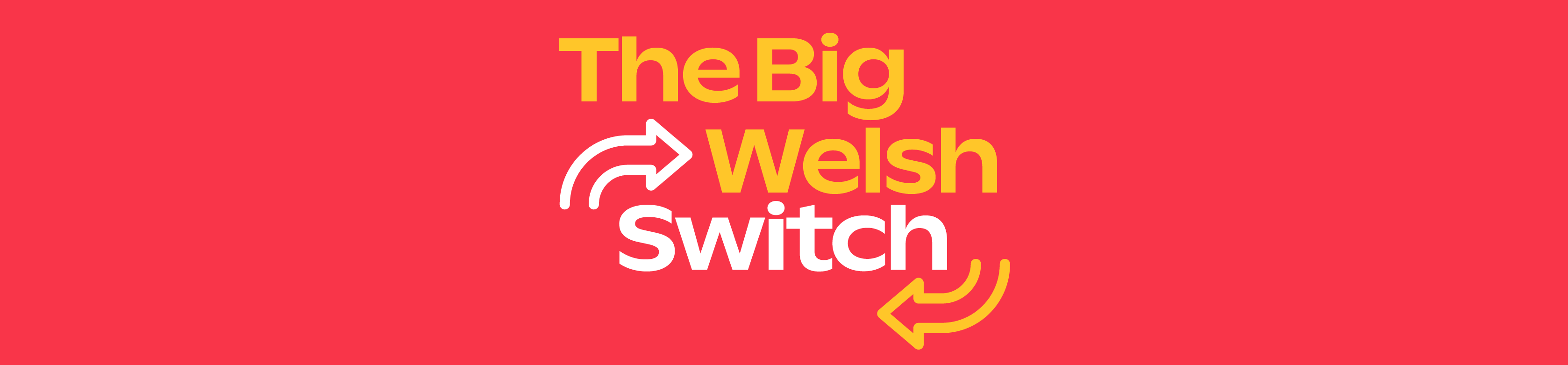 The Big Welsh Switch with two opposing arrows surrounding the word 'switch'